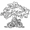 Bicycle Cider
